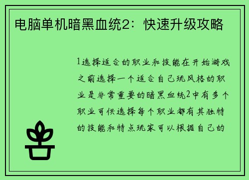 电脑单机暗黑血统2：快速升级攻略