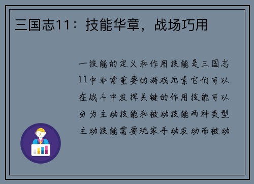 三国志11：技能华章，战场巧用